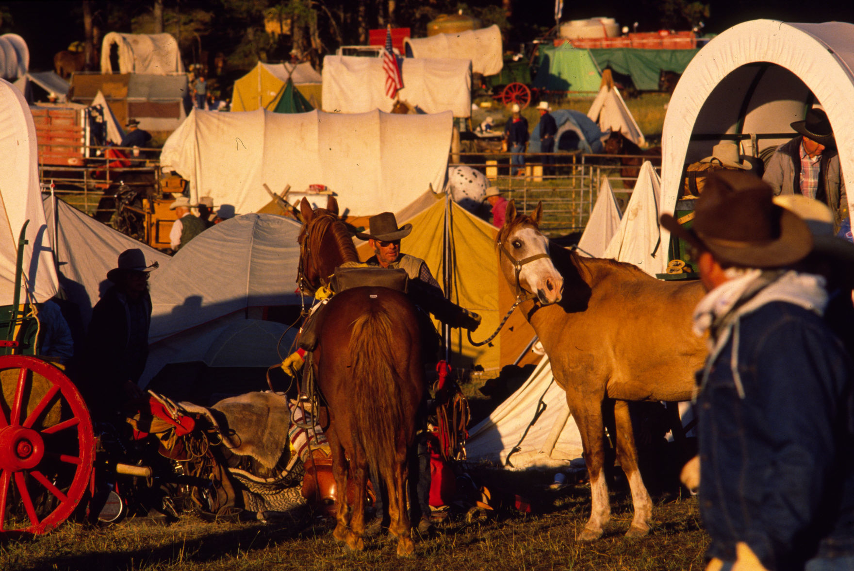 Great Montana Centennial Cattle Drive